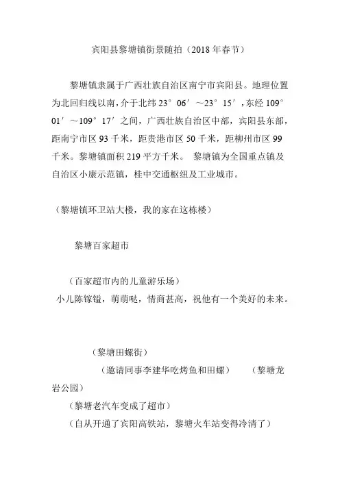 宾阳县黎塘镇街景随拍(2018年春节)