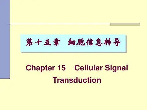 第十五章信号转导2010ppt课件