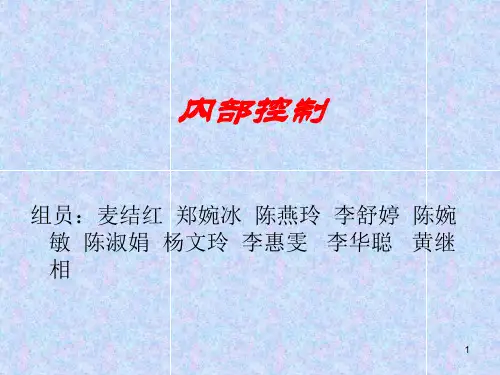 审计过程—内部控制PPT演示文稿