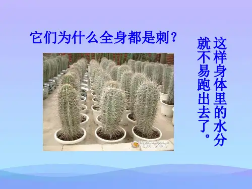 汽化和液化ppt1 人教版优秀课件
