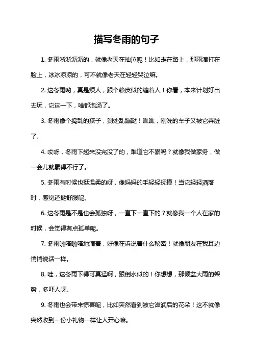 描写冬雨的句子 2