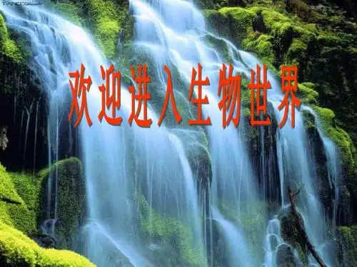 光合作用和呼吸作用的应用