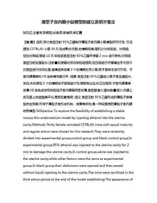 薄型子宫内膜小鼠模型的建立及初步鉴定
