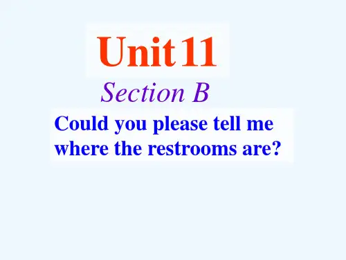 英语人教版九年级全册unit11SectionB