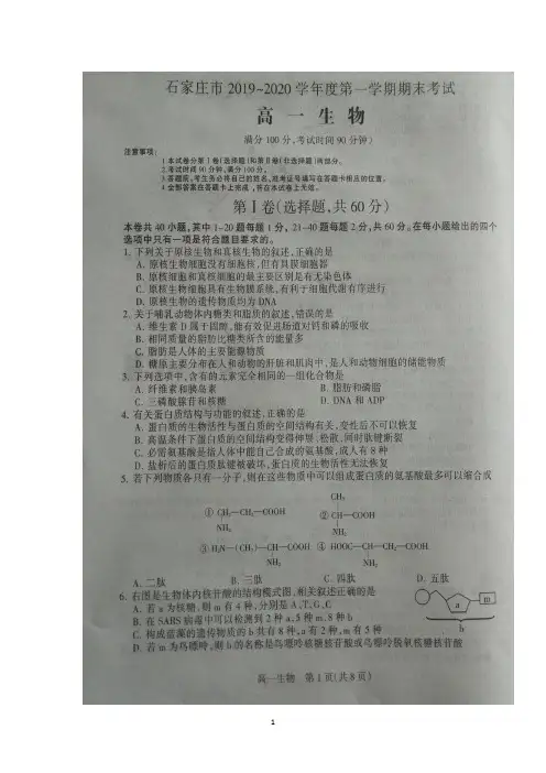 河北省石家庄市2019-2020学年高一上学期期末考试生物试题 扫描版含答案