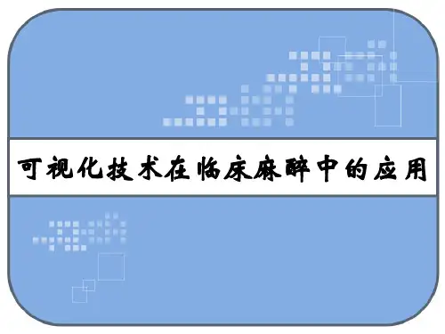 可视化技术在临床麻醉中的应用 PPT