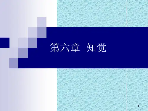 《第七章知觉》ppt课件