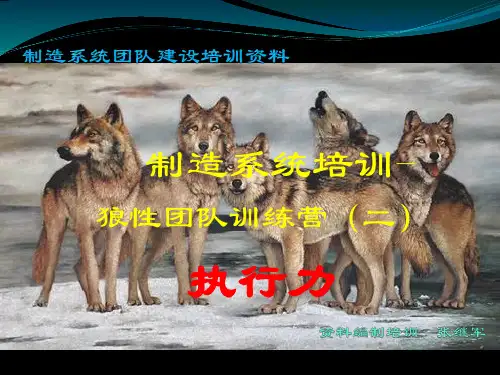 狼性团队执行力培训课件ppt(40张)