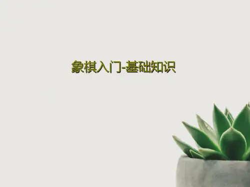 象棋入门-基础知识PPT共21页