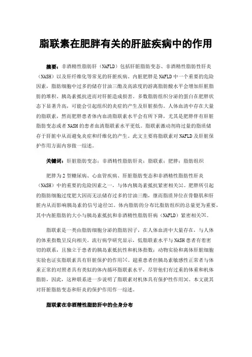 脂联素在肥胖有关的肝脏疾病中的作用