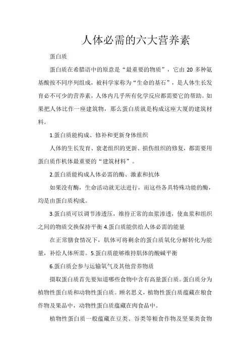 人体必需的六大营养素