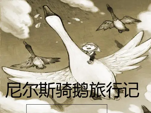 尼尔斯骑鹅旅行记    阅读交流课[优质ppt]
