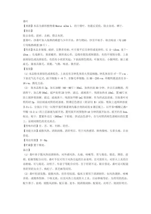 桑叶