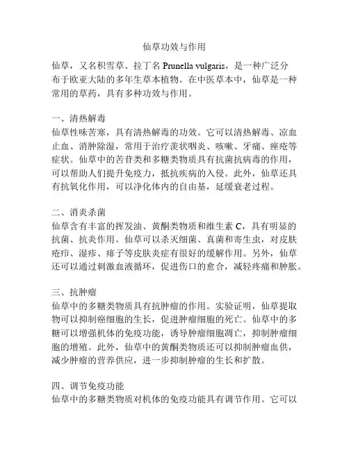 仙草功效与作用