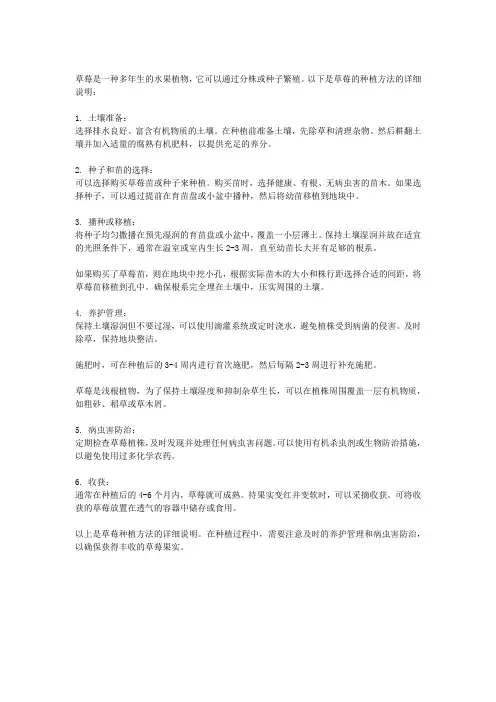 草莓种植方法详细说明