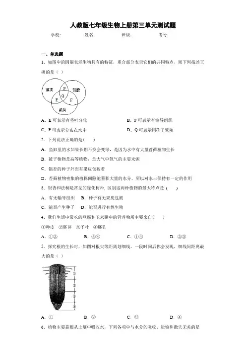 人教版七年级生物上册第三单元测试题