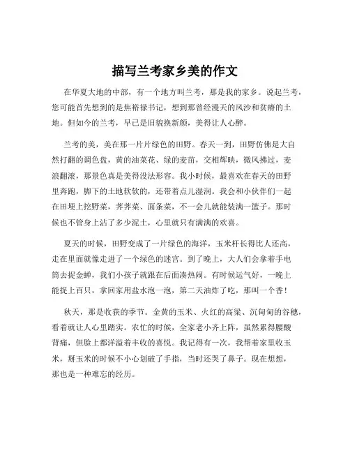 描写兰考家乡美的作文