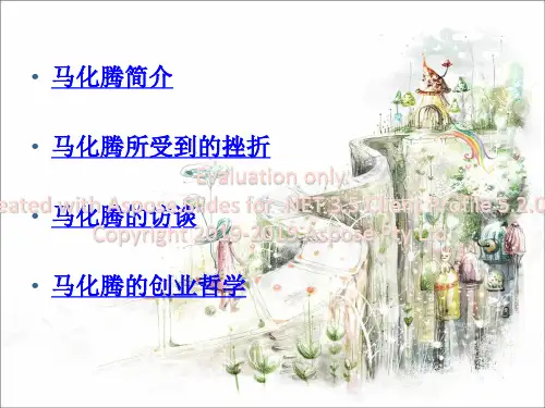 企业家的成功与失败-PPT文档