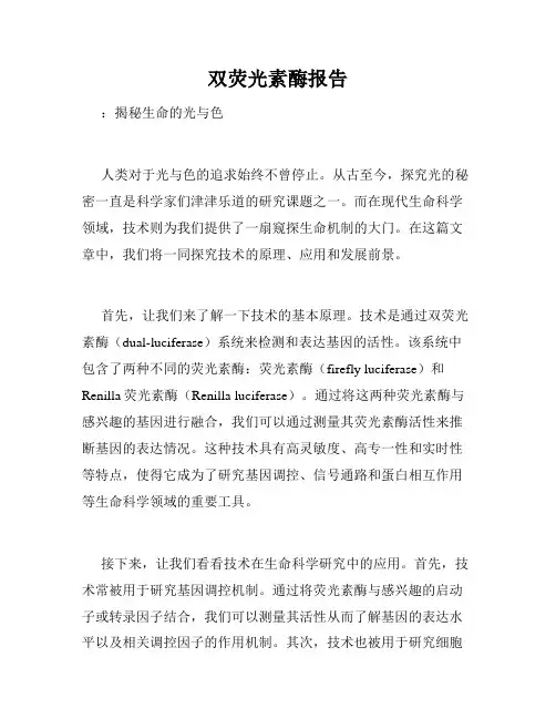双荧光素酶报告