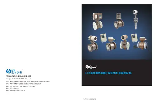 LDG系列电磁流量计说明书