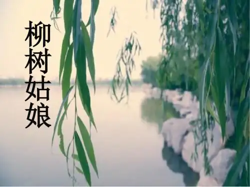 《柳树姑娘》 精品PPT课件2(共15张)