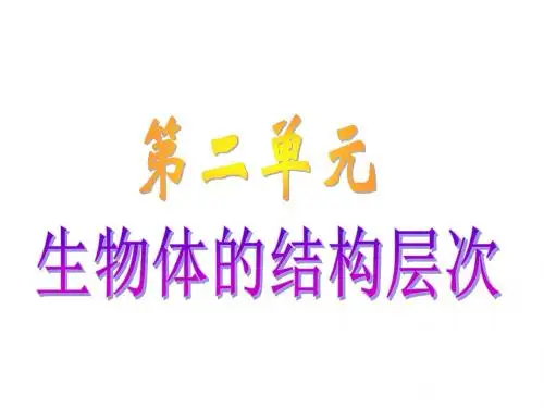 人教版七年级生物上册第二单元《生物体的结构层次》精品课件 (共17张PPT)