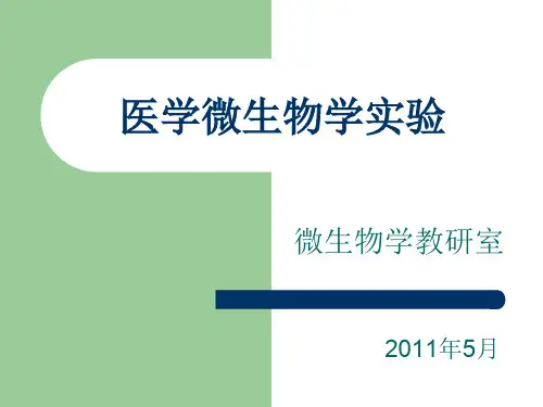 肥达实验ppt