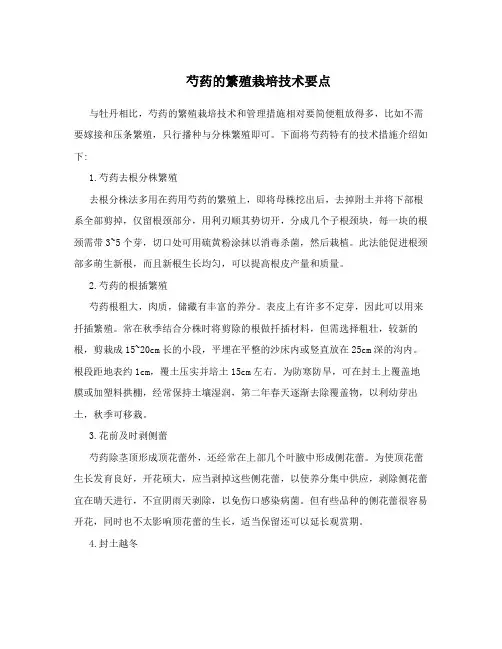 芍药的繁殖栽培技术要点