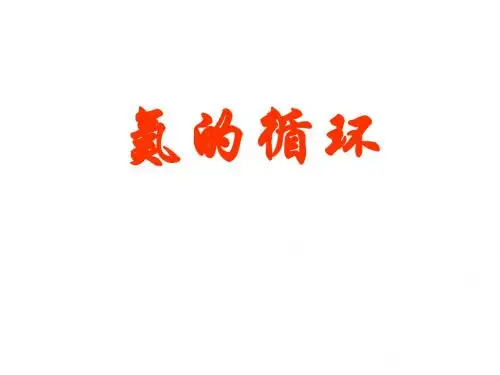 氮的循环 ppt