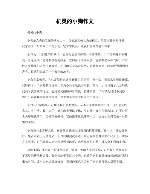 机灵的小狗作文