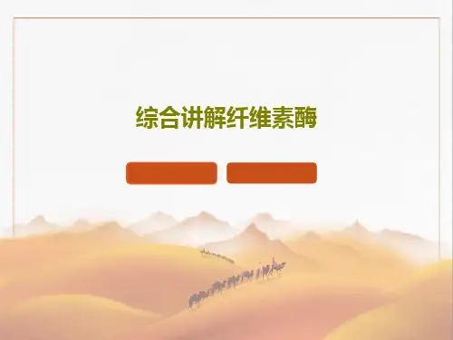 综合讲解纤维素酶PPT文档70页