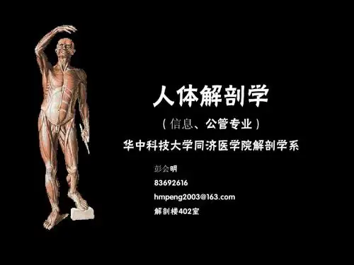 《解剖学(第一章)》华科经典版