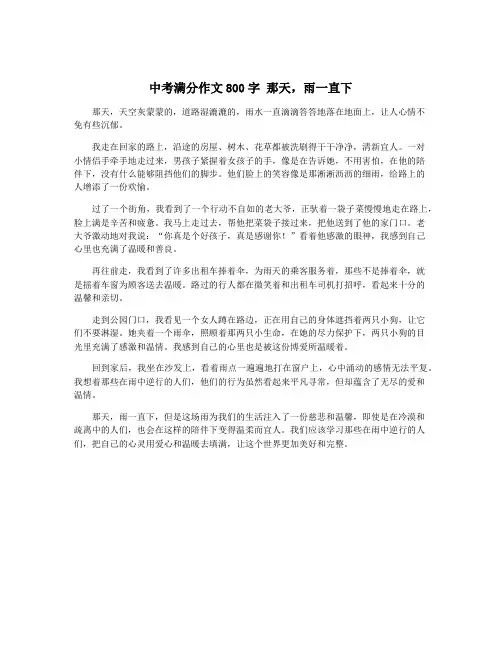 中考满分作文800字 那天,雨一直下