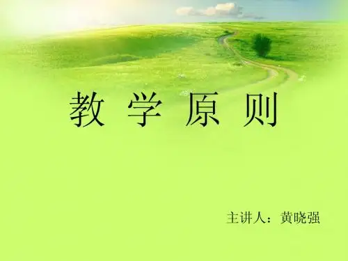 教学原则(报告)