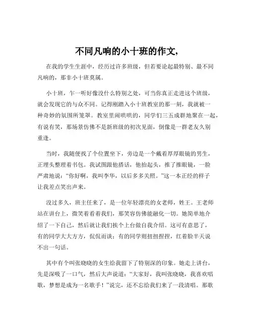 不同凡响的小十班的作文,