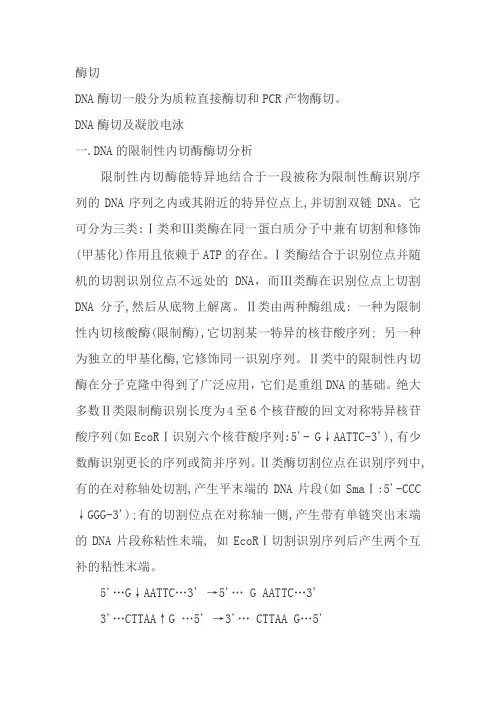 酶切注意事项