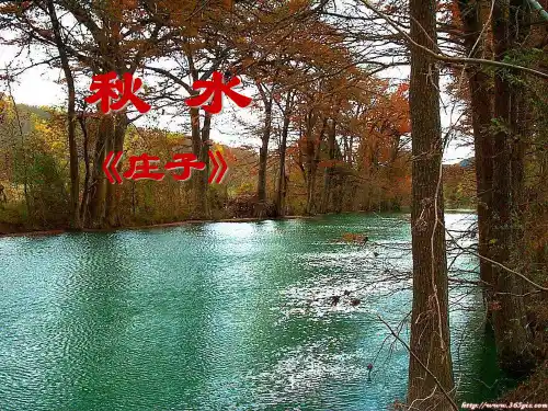 《秋水》课件