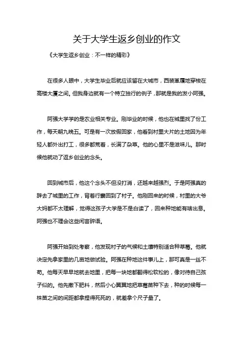 关于大学生返乡创业的作文