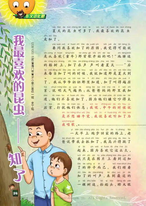 我最喜欢的昆虫——知了