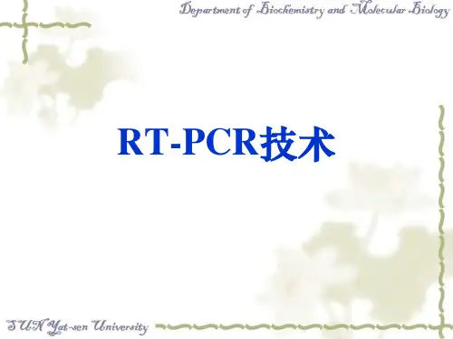 总RNA的提取及