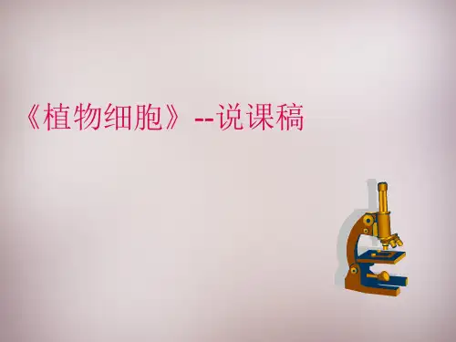 七年级生物上册 第二单元 第一章 第2节 植物细胞说课课件3 (新版)新人教版