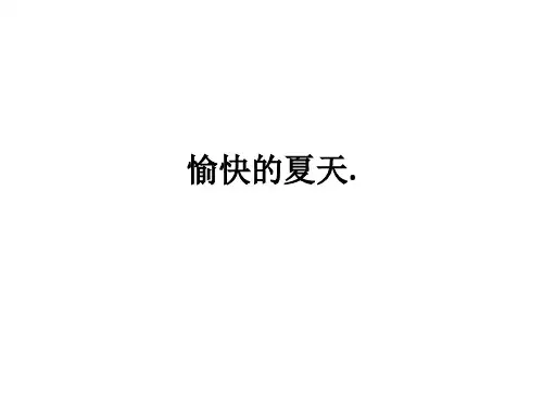 愉快的夏天.ppt课件