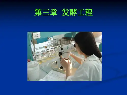 发酵工程发酵工程概述