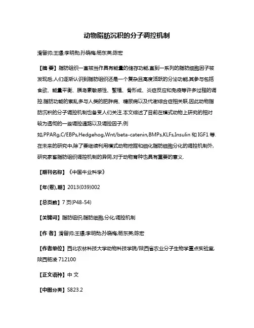 动物脂肪沉积的分子调控机制
