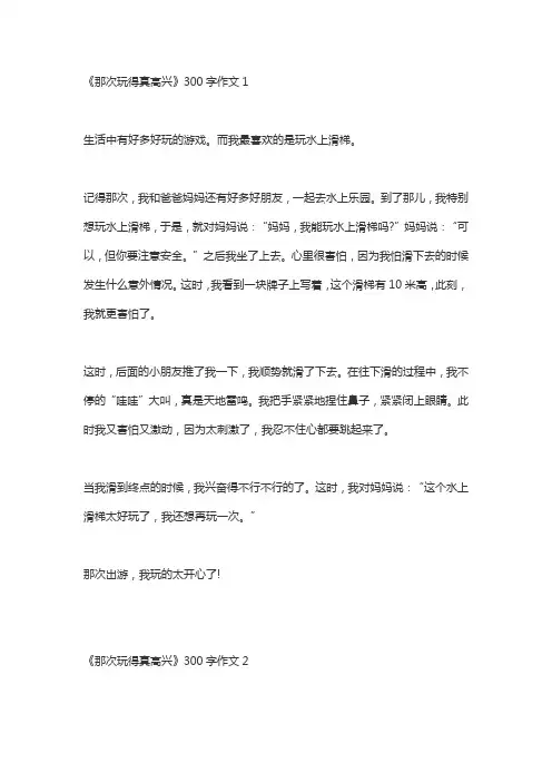 三年级第八单元作文那次玩得真高兴300字