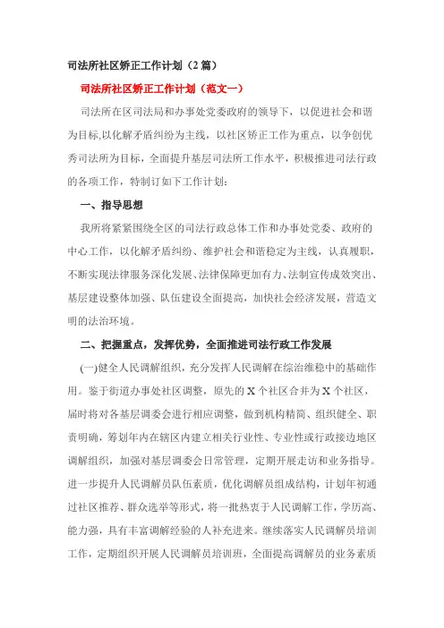 司法所社区矫正工作计划(2篇)