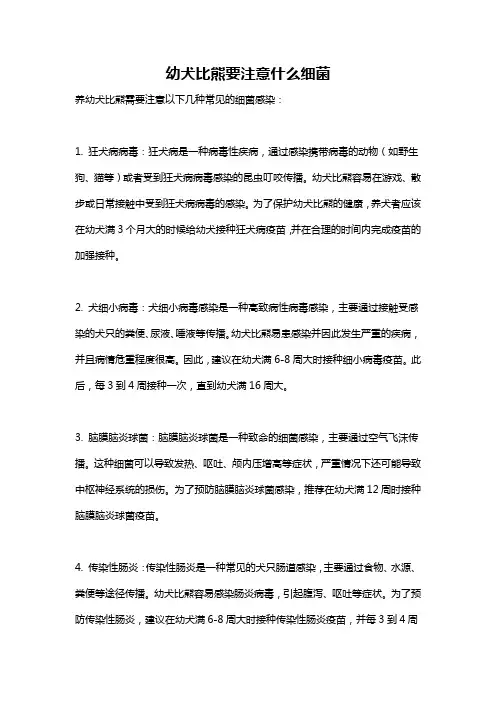 幼犬比熊要注意什么细菌