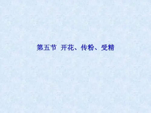 第三节  开花、传粉、受精