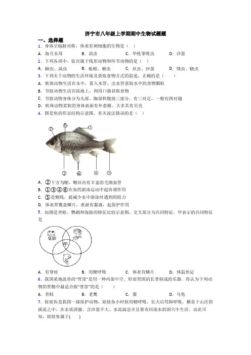 济宁市八年级上学期期中生物试题题