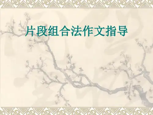 《人生需要历练》片段组合法